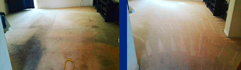 Carpet-Cleaning-Before-After-Photograph