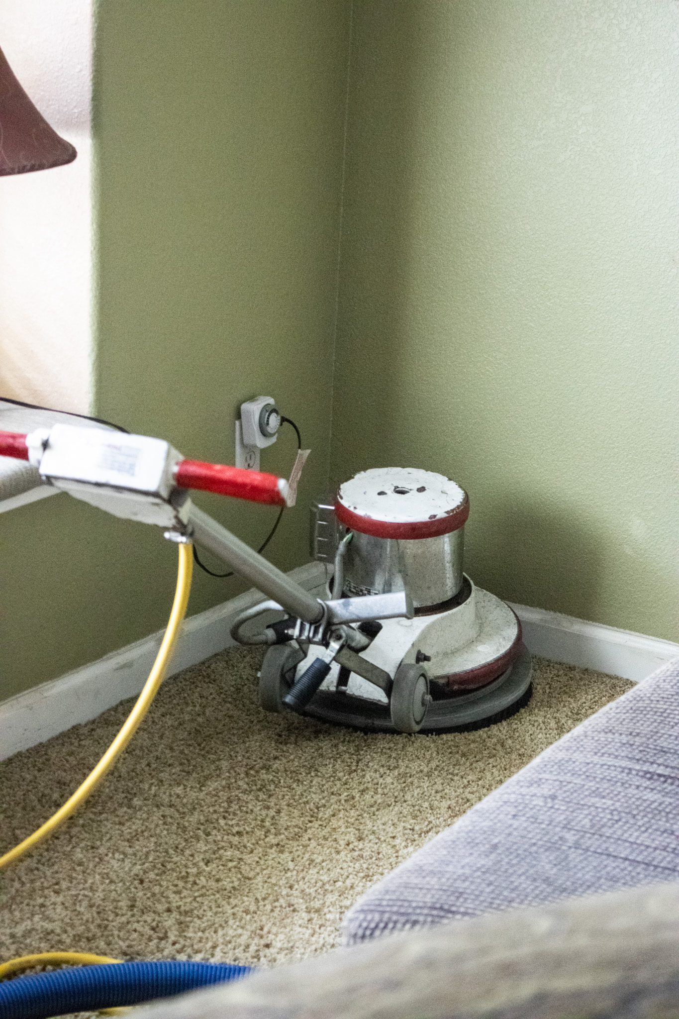 carpet cleaning