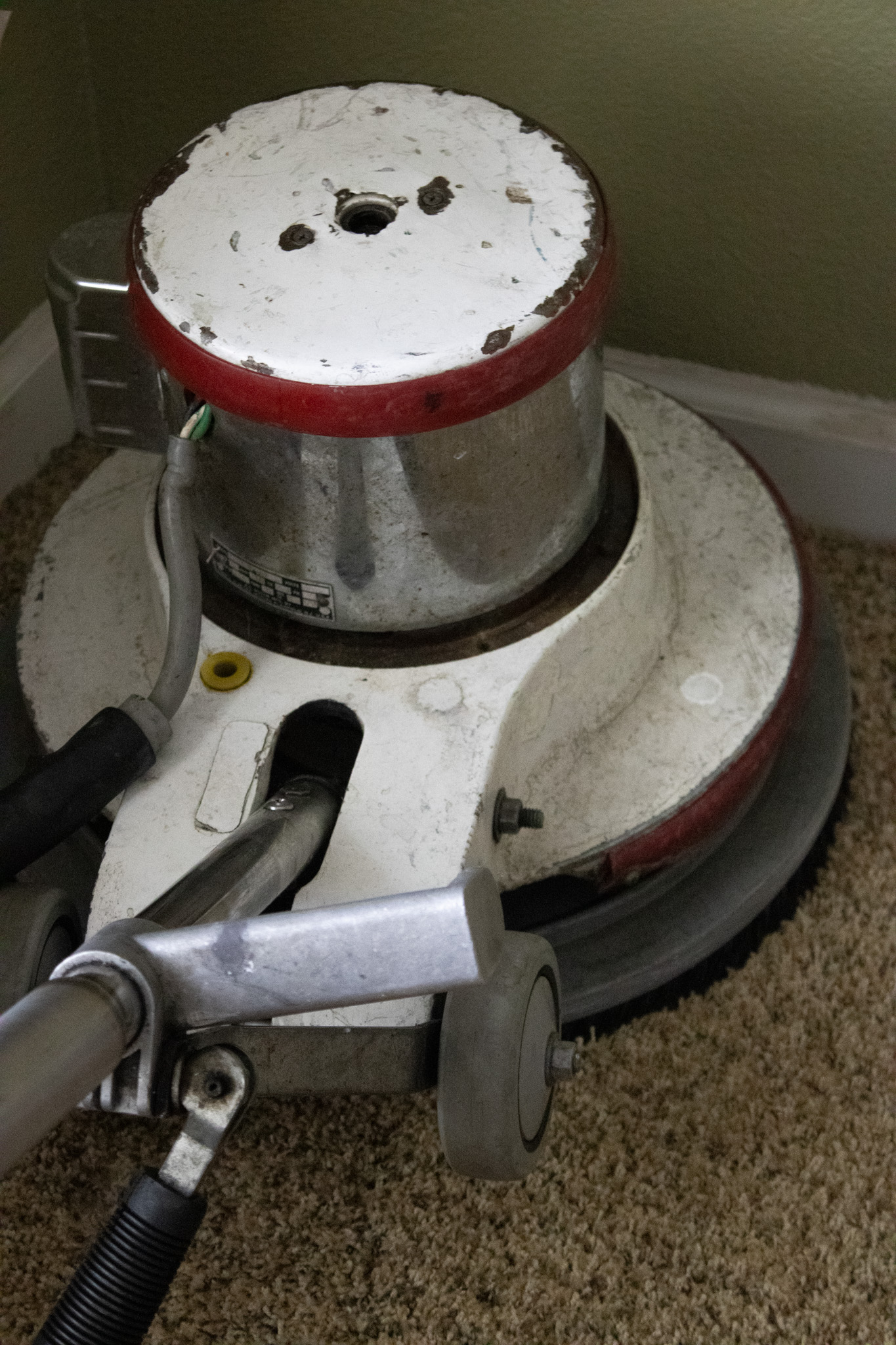 Carpet Cleaning