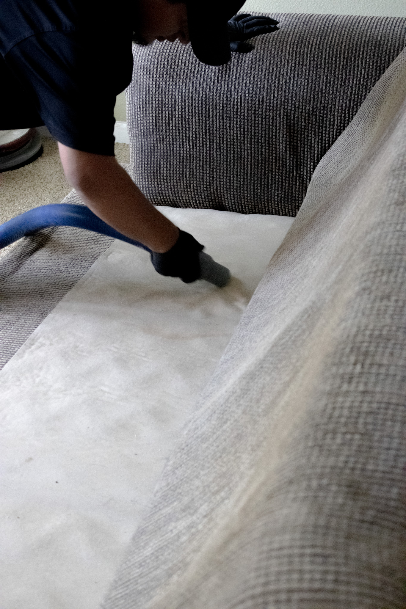 Upholstery Cleaning